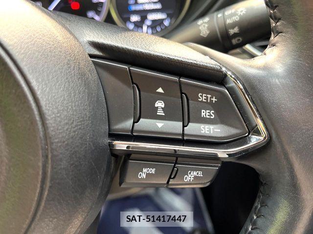 Mazda CX-8 2020-03 8879383-4