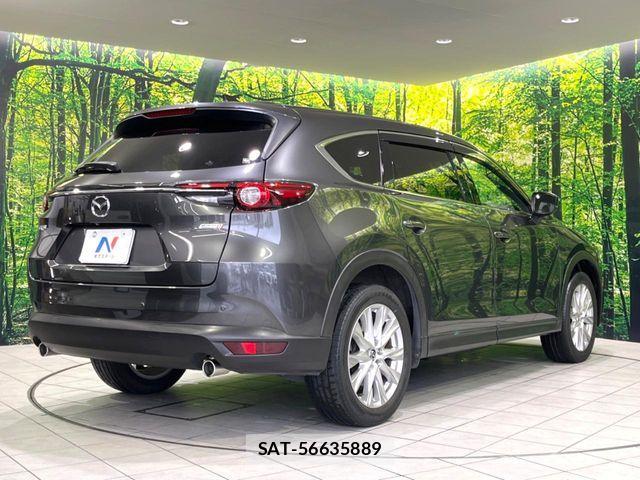 Mazda CX-8 2018-03 8879384-16