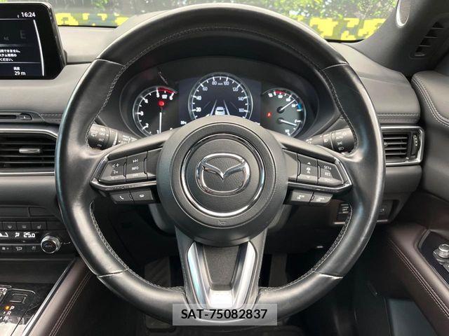 Mazda CX-8 2019-11 8879382-11