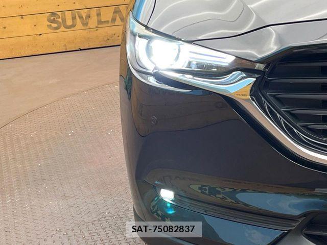Mazda CX-8 2019-11 8879382-12