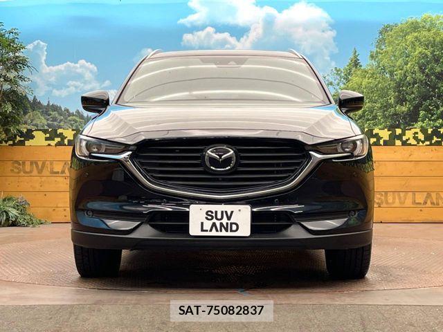 Mazda CX-8 2019-11 8879382-14