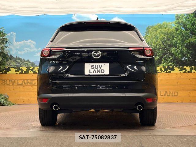 Mazda CX-8 2019-11 8879382-15