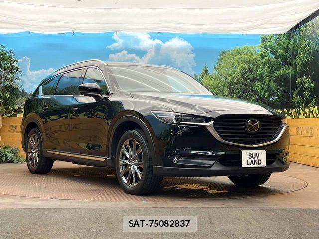 Mazda CX-8 2019-11 8879382-16