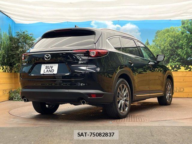 Mazda CX-8 2019-11 8879382-17
