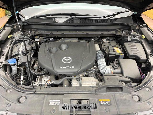 Mazda CX-8 2019-11 8879382-18