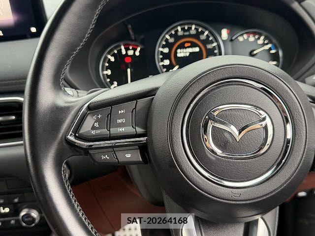 Mazda CX-8 2021-10 8879381-15