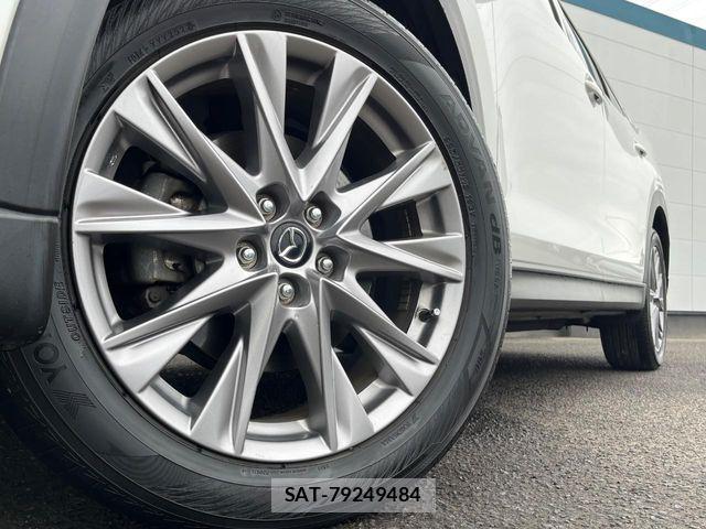 Mazda CX-8 2019-06 6003224-13