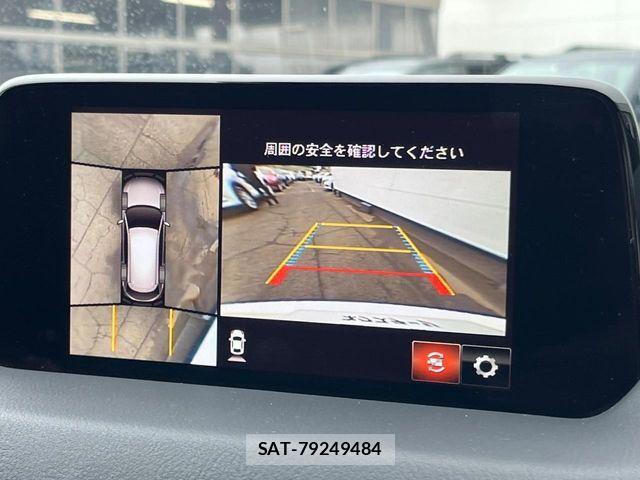 Mazda CX-8 2019-06 6003224-3