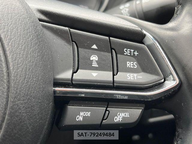 Mazda CX-8 2019-06 6003224-5