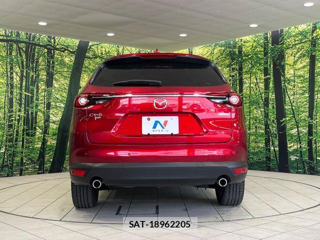 Mazda CX-8 2022-04 6213552-15