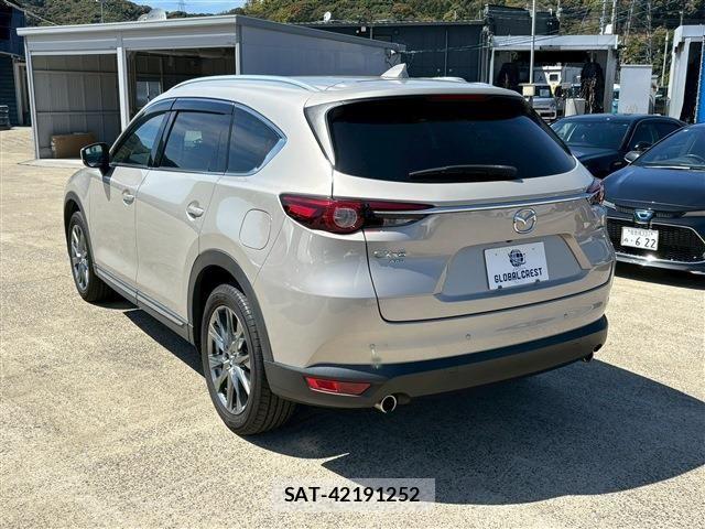 Mazda CX-8 2021-03 6213562-11