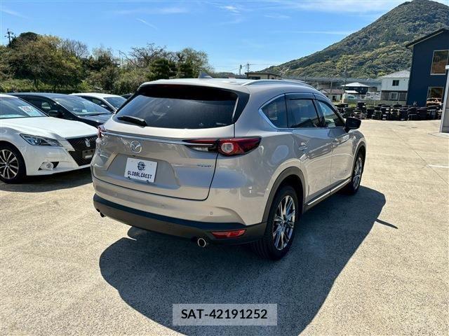 Mazda CX-8 2021-03 6213562-13