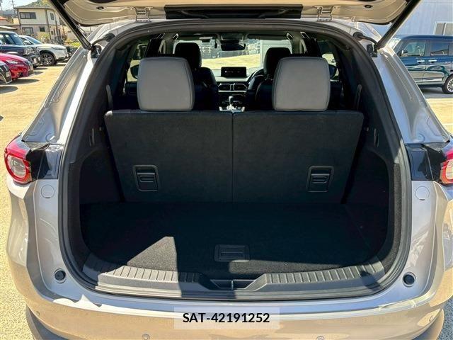 Mazda CX-8 2021-03 6213562-6