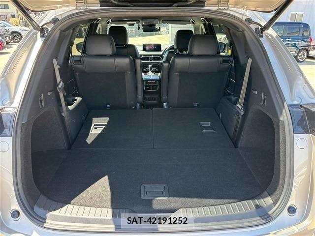 Mazda CX-8 2021-03 6213562-7