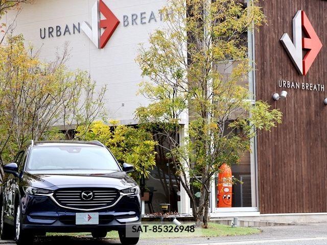 Mazda CX-8 2018-07 6263802-6