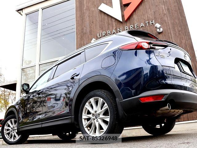 Mazda CX-8 2018-07 6263802-8
