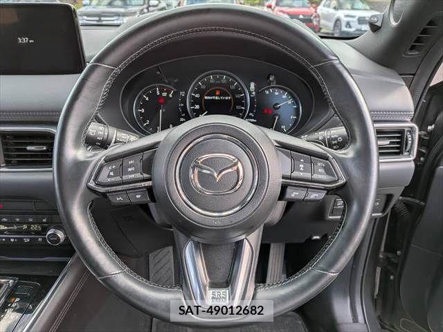 Mazda CX-8 2021-04 6675602-14