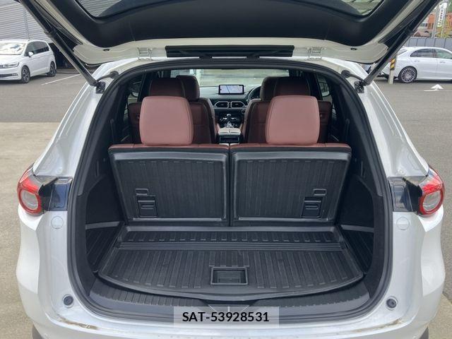 Mazda CX-8 2022-06 6675598-13