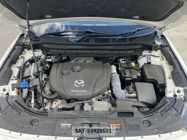 Mazda CX-8 2022-06 6675598-14