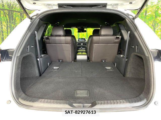 Mazda CX-8 2018-02 6683736-10