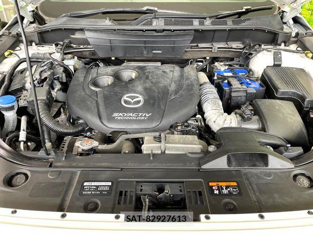 Mazda CX-8 2018-02 6683736-18