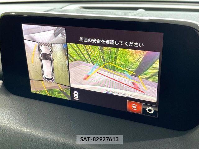 Mazda CX-8 2018-02 6683736-3