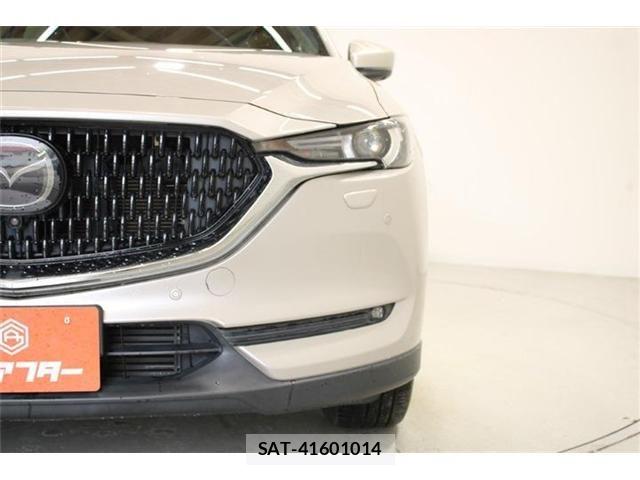 Mazda CX-8 2021-03 6904035-15