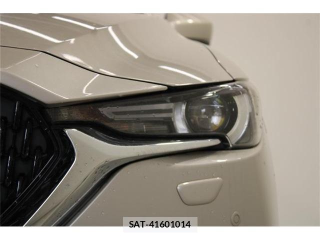 Mazda CX-8 2021-03 6904035-16