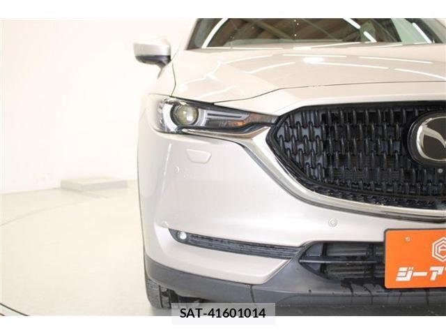 Mazda CX-8 2021-03 6904035-17