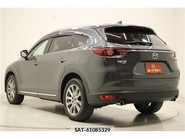 Mazda CX-8 2018-02 6904037-10
