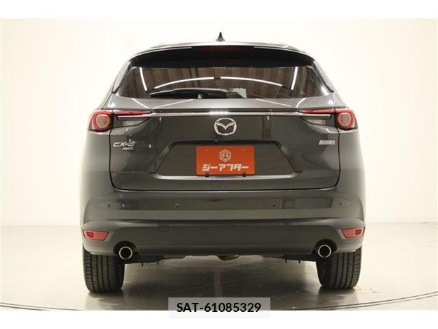 Mazda CX-8 2018-02 6904037-11