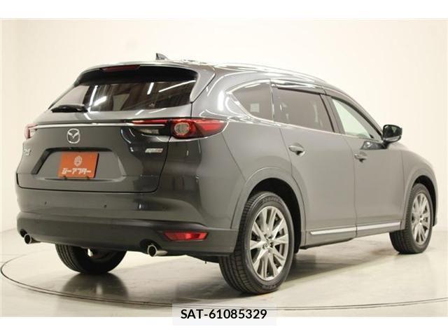 Mazda CX-8 2018-02 6904037-12