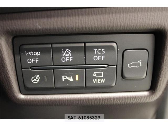Mazda CX-8 2018-02 6904037-3