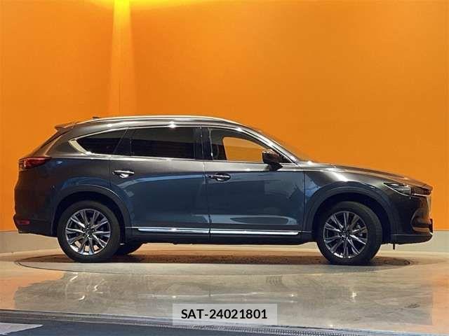 Mazda CX-8 2019-02 6904036-9