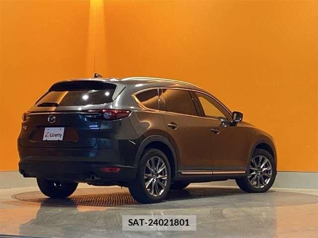 Mazda CX-8 2019-02 6904036-10