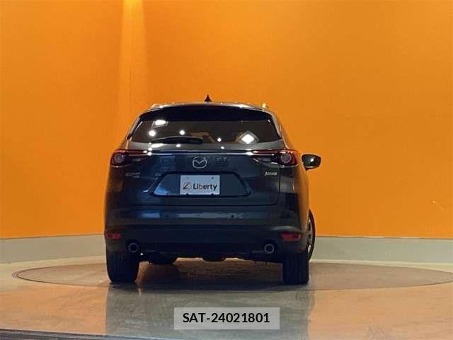 Mazda CX-8 2019-02 6904036-11