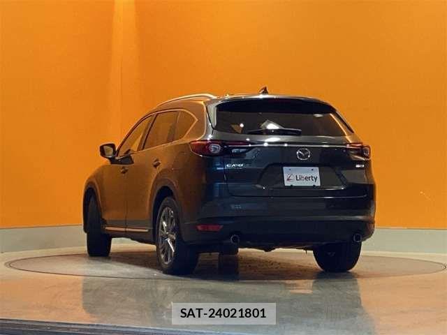 Mazda CX-8 2019-02 6904036-12
