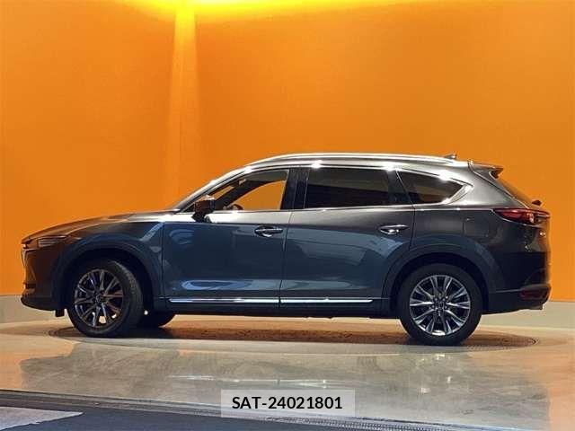 Mazda CX-8 2019-02 6904036-13