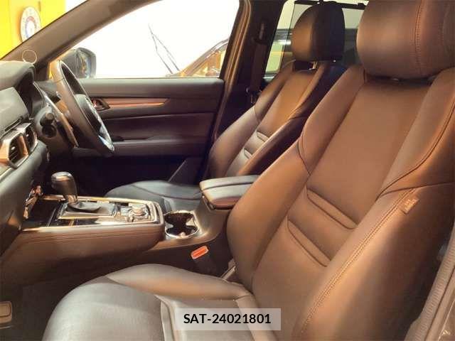 Mazda CX-8 2019-02 6904036-14