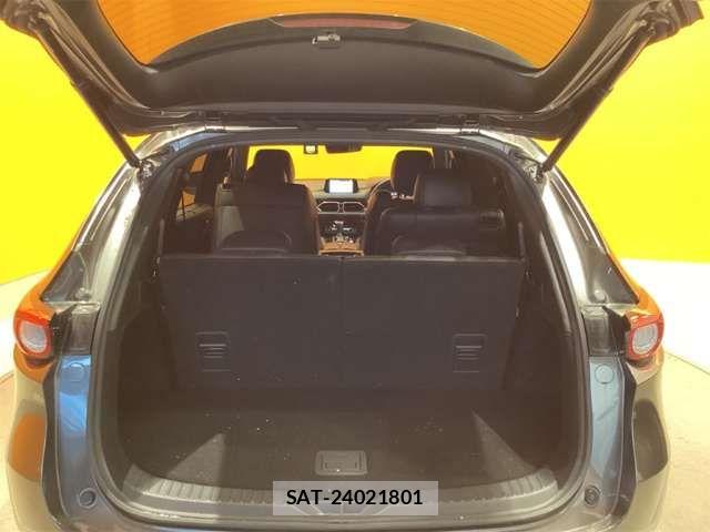 Mazda CX-8 2019-02 6904036-17