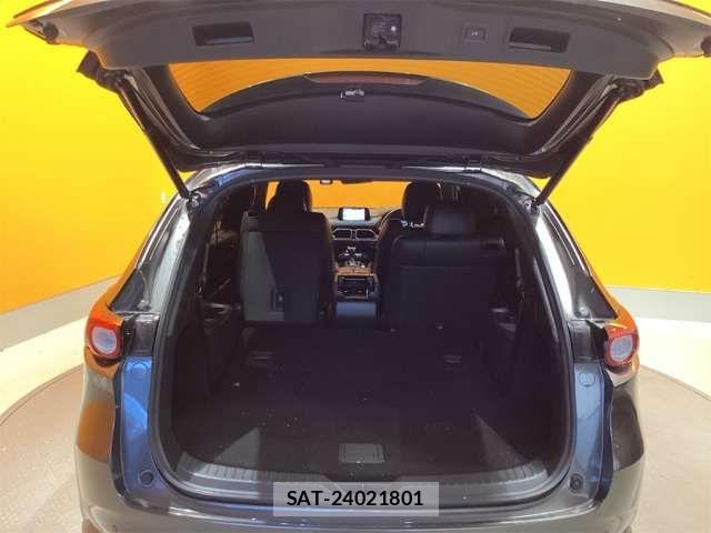 Mazda CX-8 2019-02 6904036-18