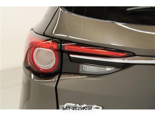 Mazda CX-8 2018-03 6904045-19
