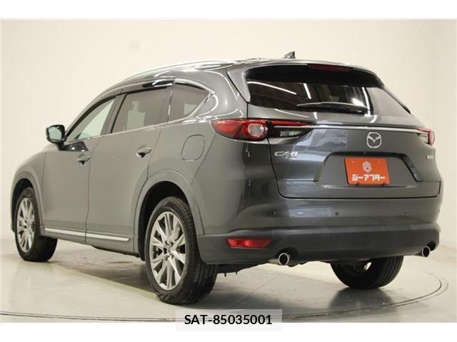 Mazda CX-8 2018-01 6904039-10