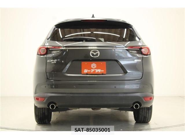 Mazda CX-8 2018-01 6904039-11