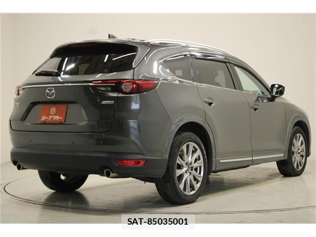 Mazda CX-8 2018-01 6904039-12