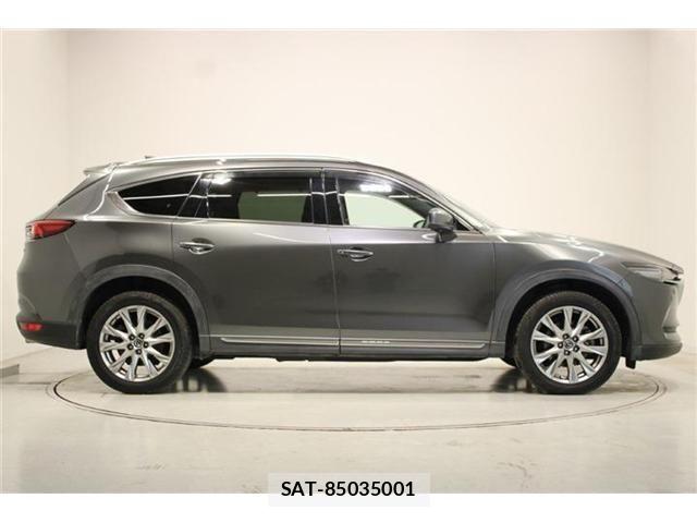 Mazda CX-8 2018-01 6904039-13