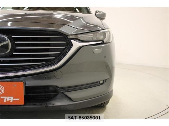 Mazda CX-8 2018-01 6904039-14