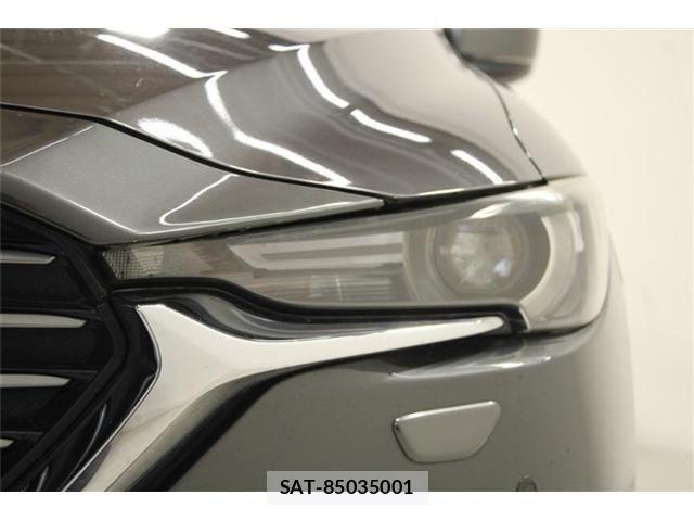 Mazda CX-8 2018-01 6904039-15