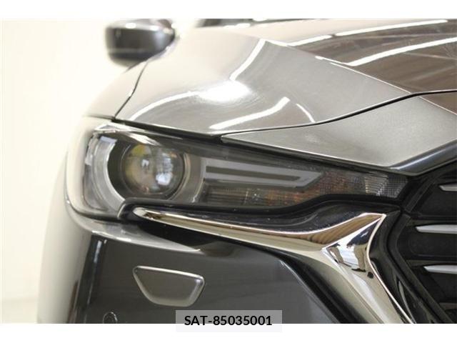 Mazda CX-8 2018-01 6904039-17