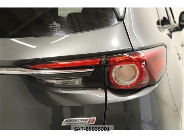 Mazda CX-8 2018-01 6904039-18